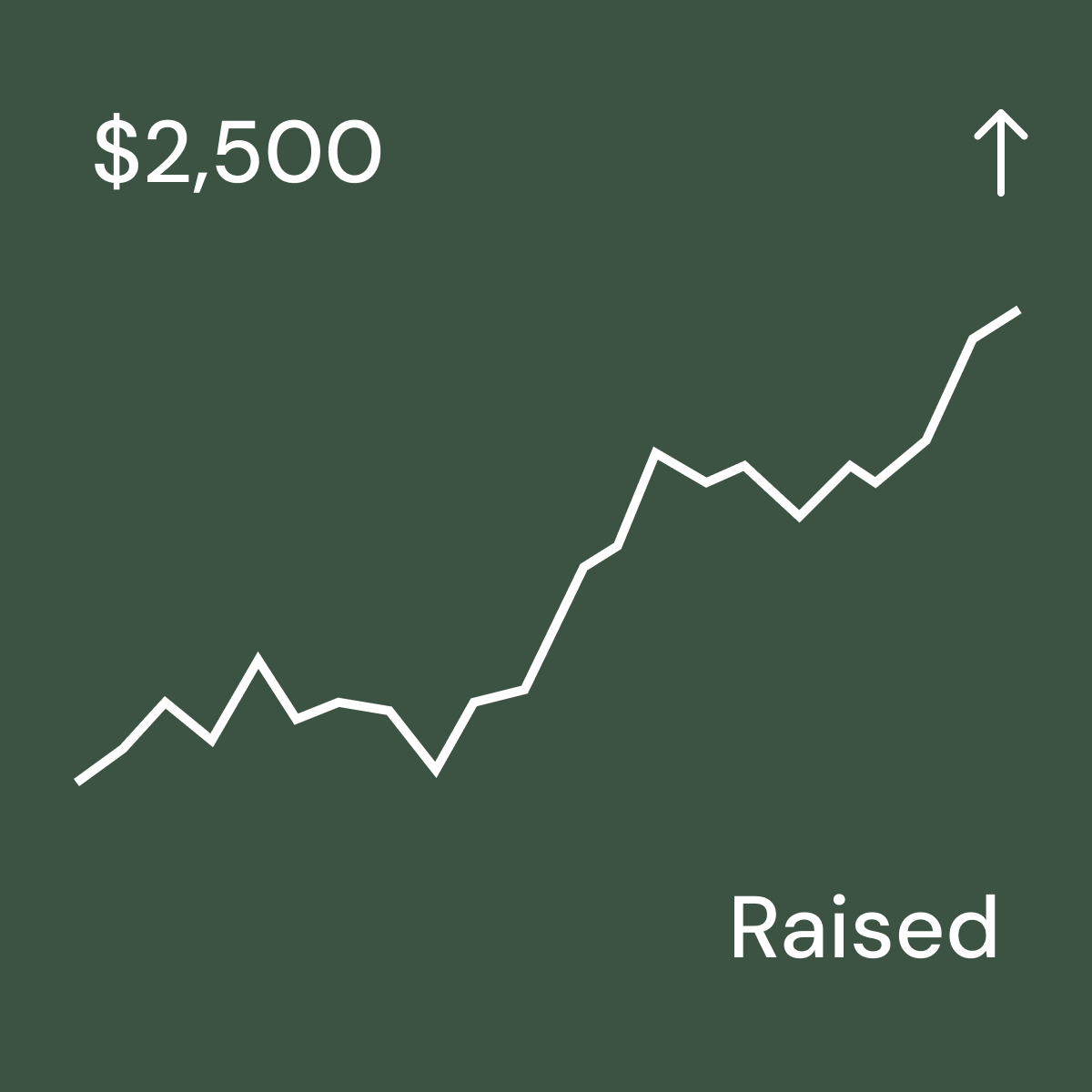 CURaise Line Chart UI